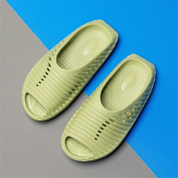 Fish Slippers