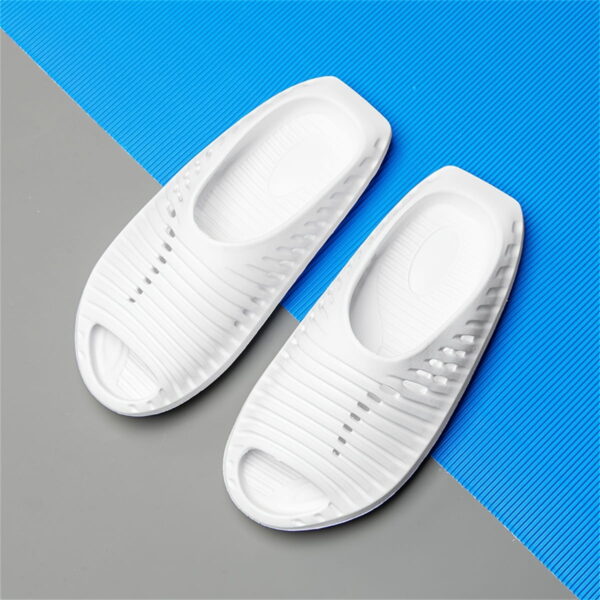 Fish Slippers