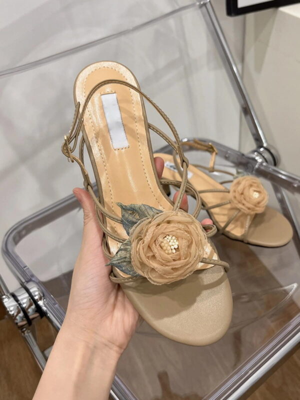 Ballerinas shoes