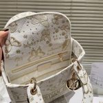 Medium Lady D-Lite Bag photo review