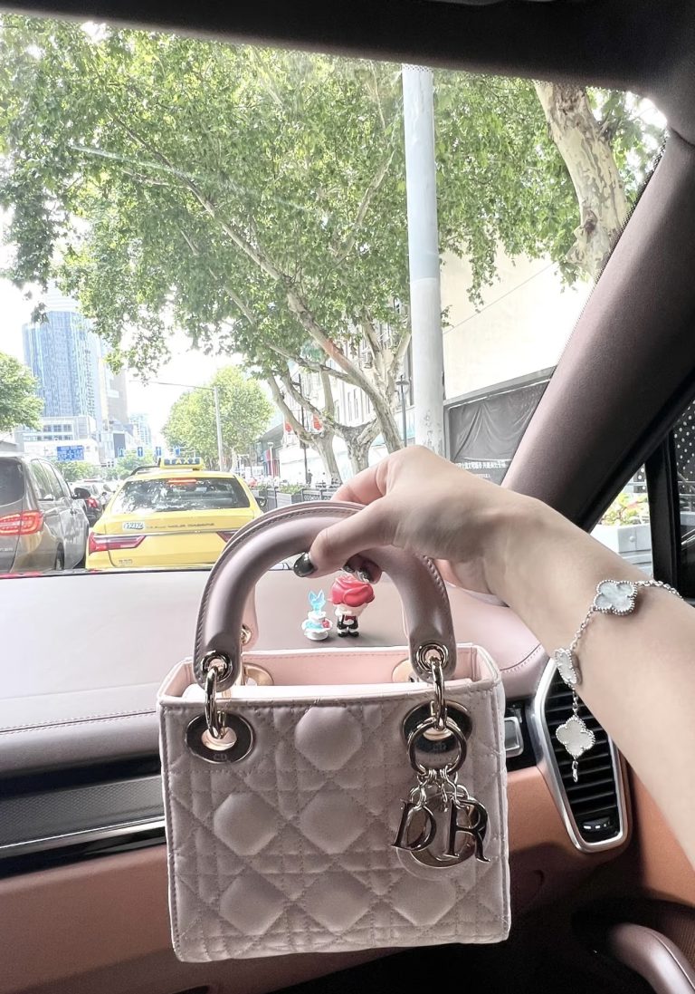 Mini Lady Dior Bag photo review