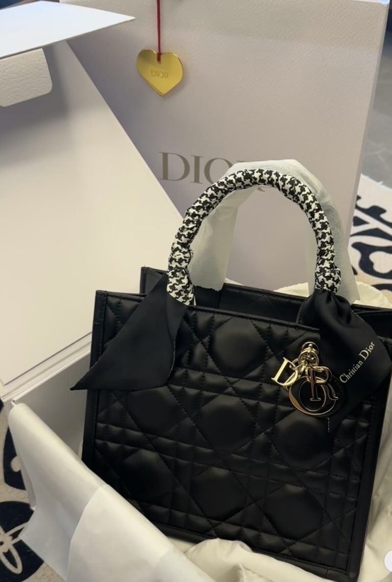 Small Dior Book Tote photo review