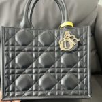 Small Dior Book Tote photo review