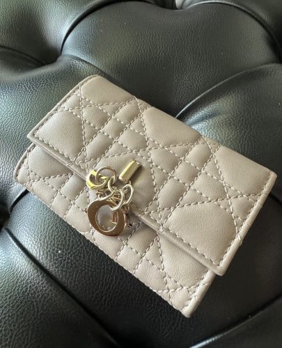 My Dior Glycine Wallet photo review