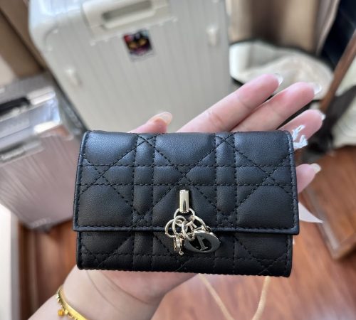 My Dior Glycine Wallet photo review